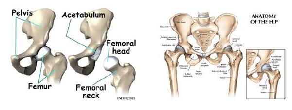 oštra ubodna bol u zglobu kuka artroza liječenja dijagnoze zgloba koljena