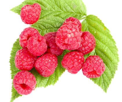 Maline