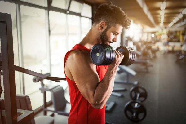 biceps