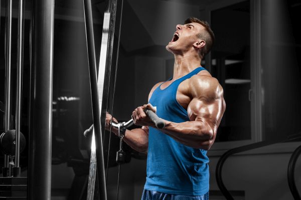 biceps trening