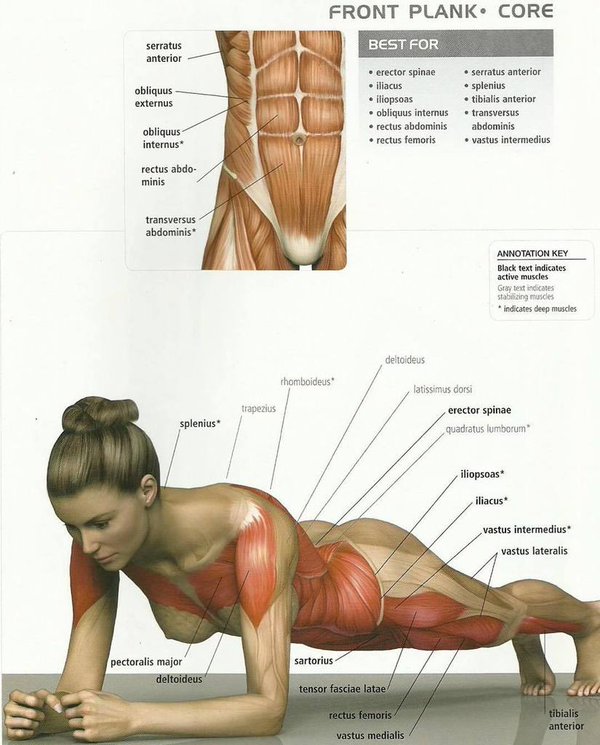 plank