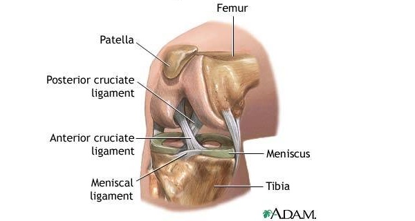 mast za bolove u zglobovima koljena cijena bishofit u liječenju osteoartritisa