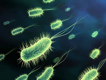Probiotici