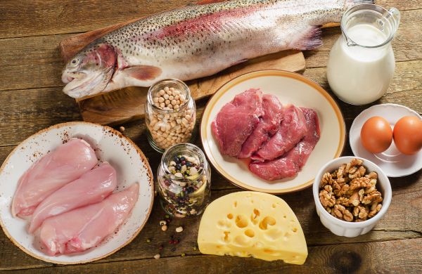 proteini