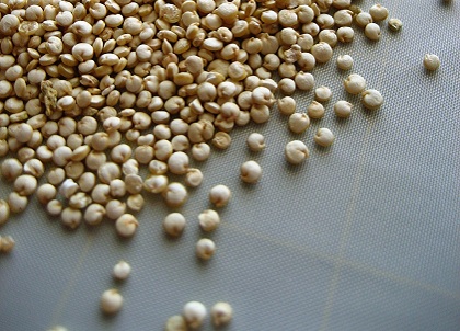 Quinoa
