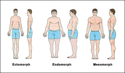 súlyvesztés a mezo-endomorf esetében