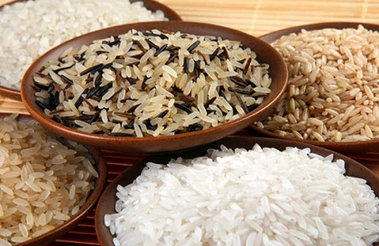Vrste riže