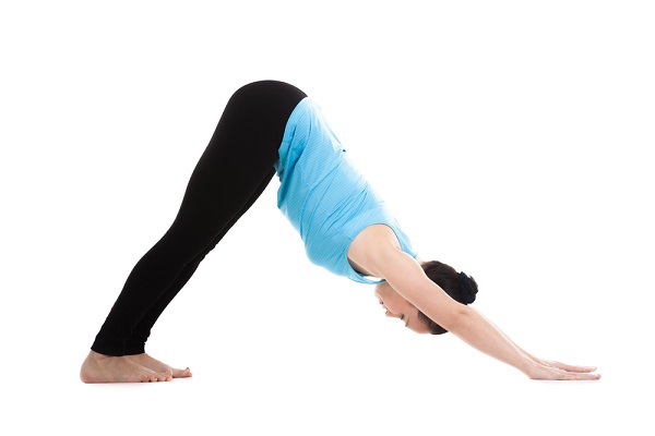 joga pas prema dolje