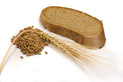 Kruh i žitarice