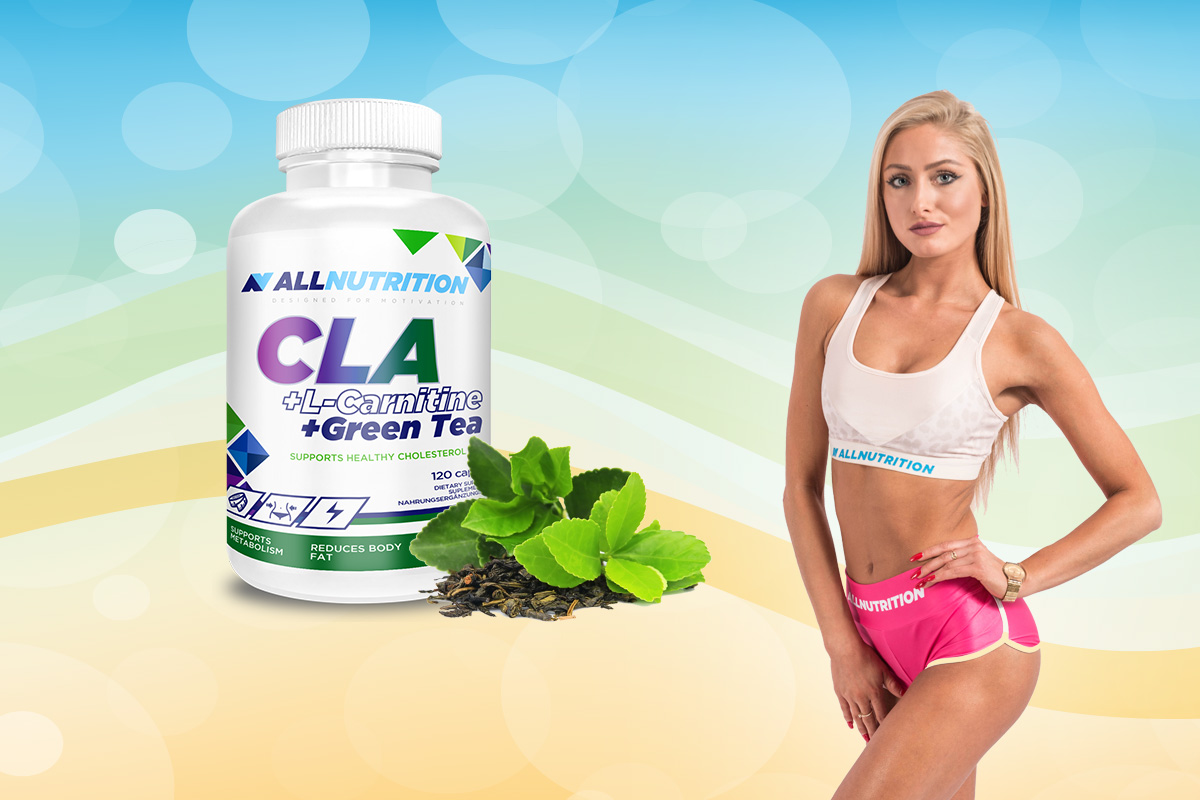 CLA + L-Carnitine + Green Tea - 120 kapsula