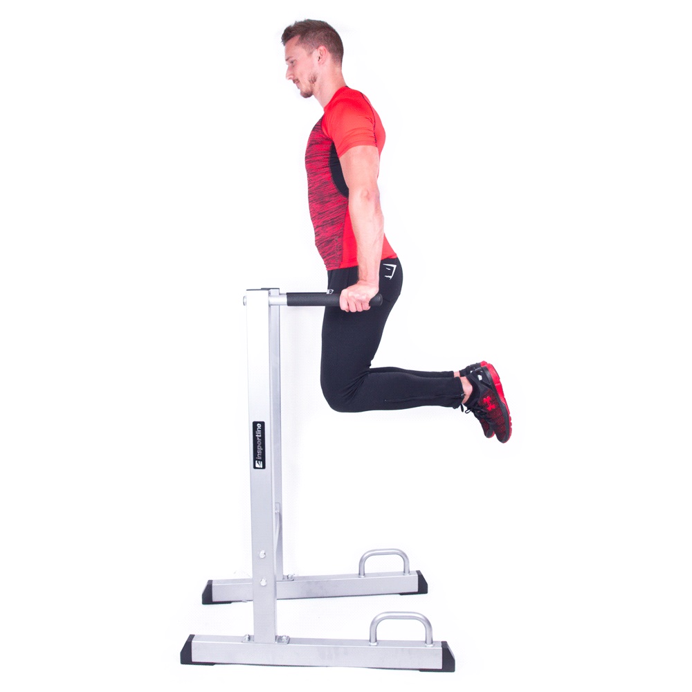 Dip Station Insportline Power Tower PT050