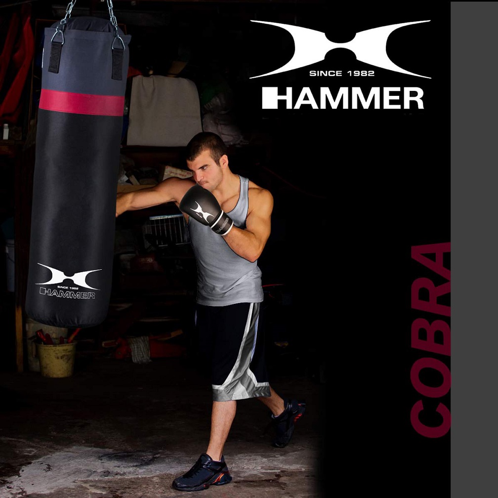 Set za boks Hammer Cobra