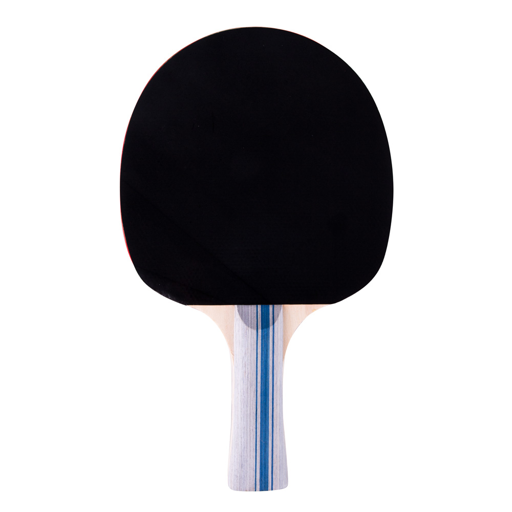 Reket za stolni tenis Insportline Ratai S2