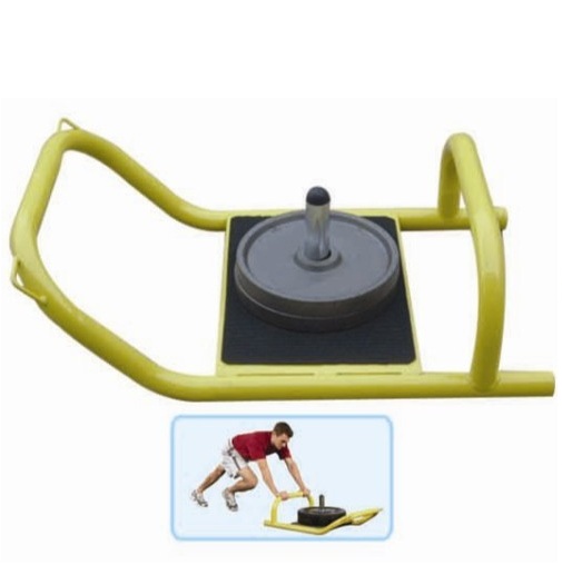 Power Sled - saonice snage