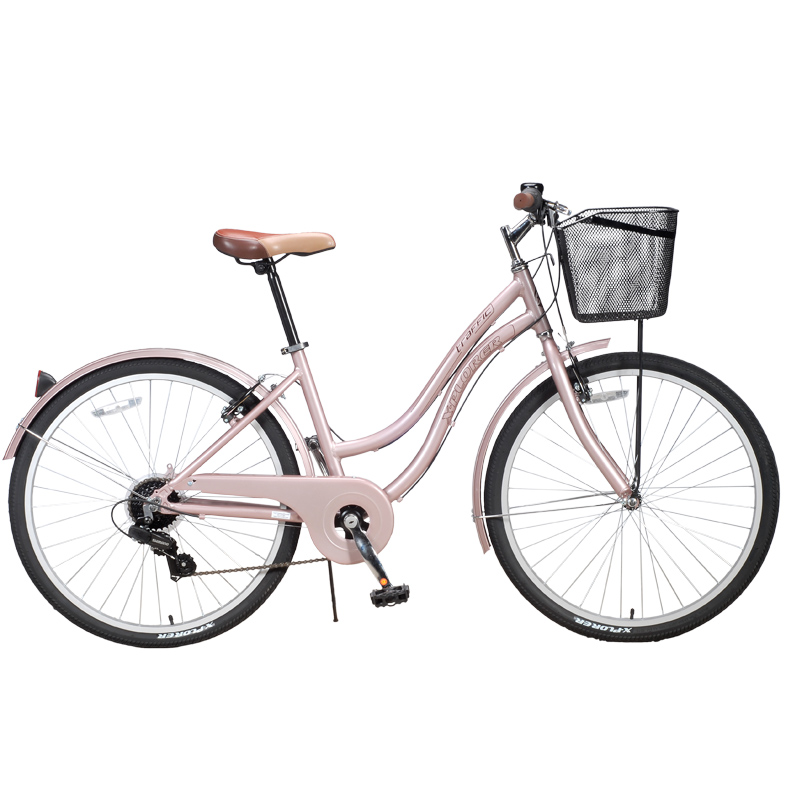 X-plorer Traffic 26