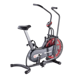 Air Bike Insportline Basic